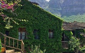 Saxonis Houses & Saxonis Villa